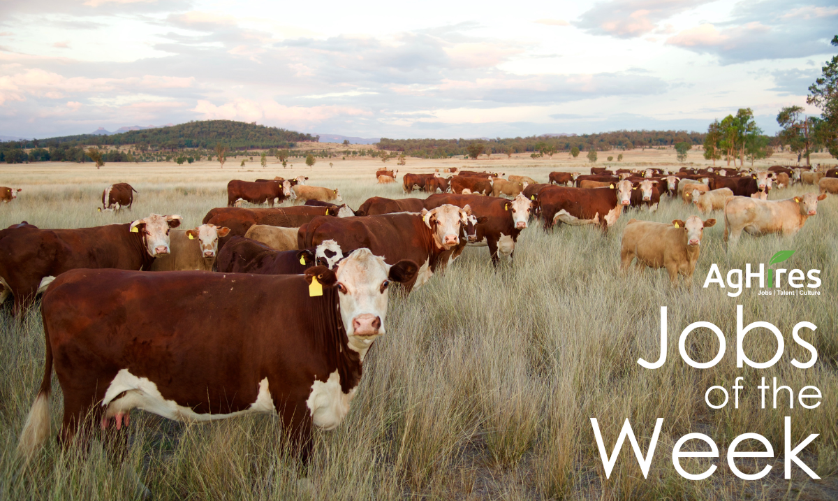 Agriculture Jobs of the Week 12252023